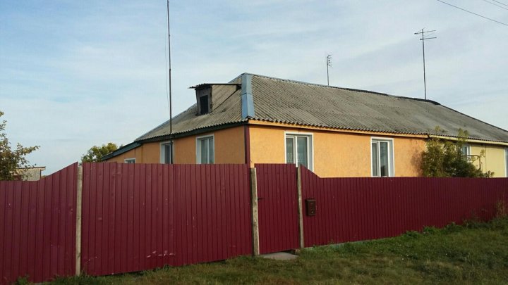 дома омская область полтавский. снт берёзовая роща омск фото. церковь полтавка омская область. дома омская область полтавский. новоильиновка омская область.