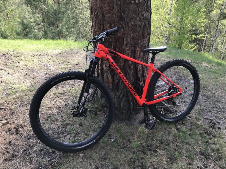 trail 3 cannondale 2018