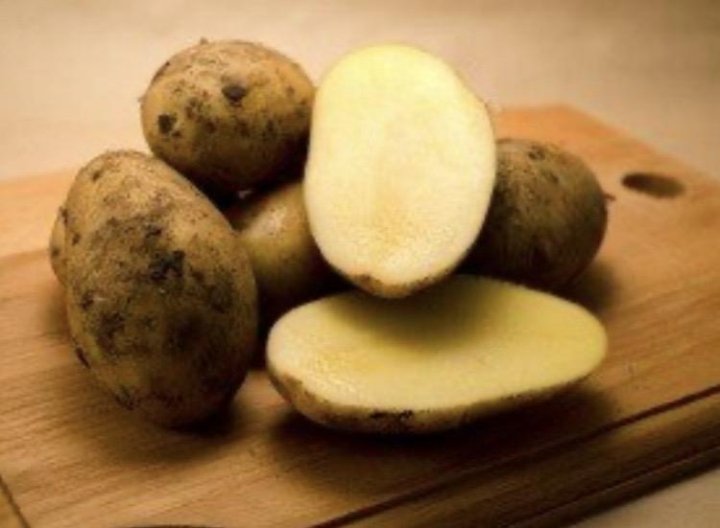 Коломбо сорт картофеля характеристика. Коломбо картофель характеристика. Картофель Коломбо фото. Колетте картофель характеристика отзывы
