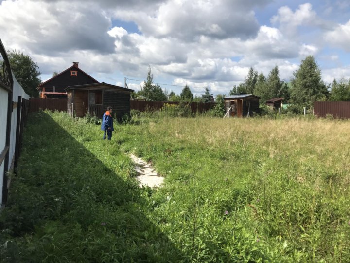 Погода в снт радио балашиха. СНТ зеленоградец.