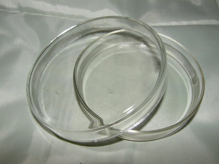 Культуральная посуда. Чаша петри 2. Серый экстракт в чашек петри. Чашка петри 6. Чашка петри ø 35 мм, вентилируемая.