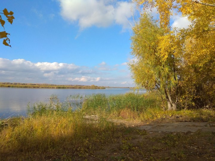 Погода тополевка энгельсский