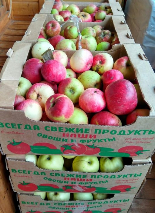 Самые Сладкие Яблоки В Магазине