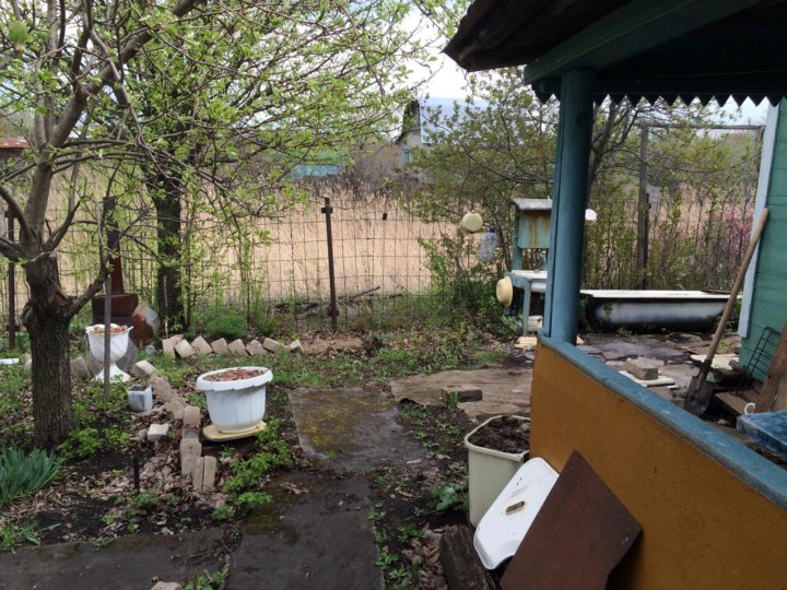 Какие работы лучше всего выполнять огородникам и цветоводам 27 августа - Рамблер