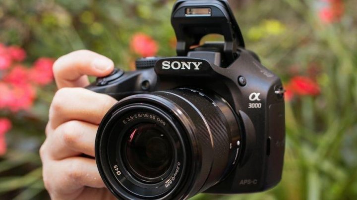 Sony a3000 примеры фото