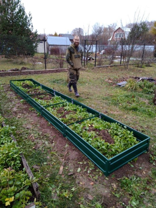 Ребята полят грядки. Грядка оцинкованная полимерная. Грядка оцинкованная для капусты. Зелёная грядка Белгород. Металлические белые грядки для дачи фото.