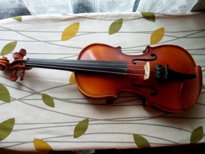 Новгородов скрипка