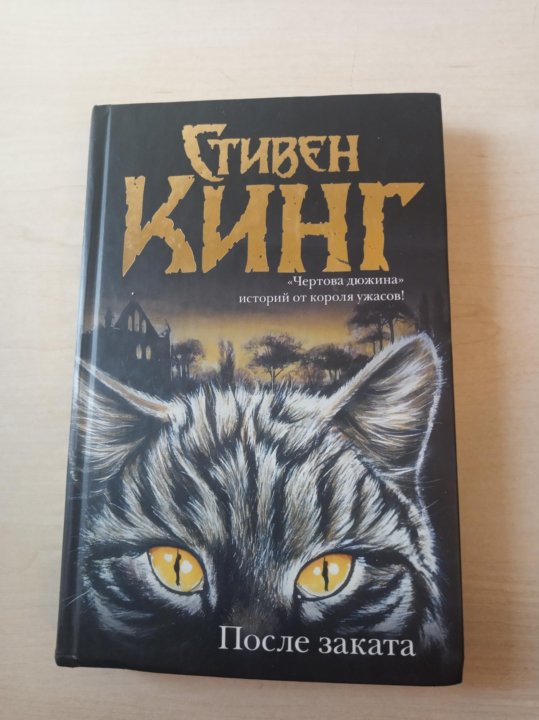 Рассказ тринадцатая. Коллекция книг Стивена Кинга. 13 Рассказов.