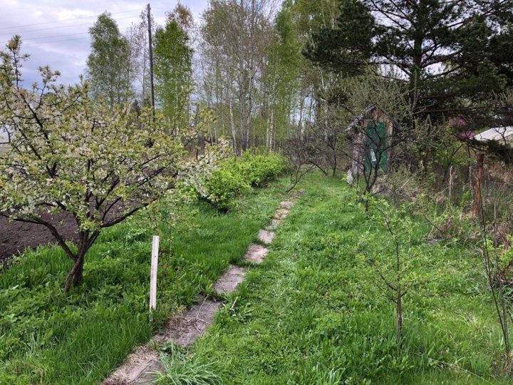 Карта снт лесники усть илимск