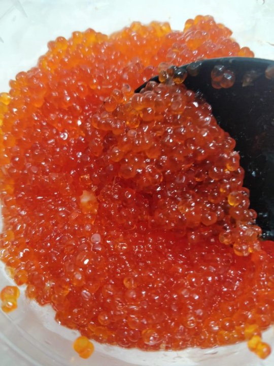 Какого цвета икра у форели. Икра форелевая и горбуши. Какого цвета икра у форели. Икра форели 500 гр. Форелевая икра карельская 500 гр.