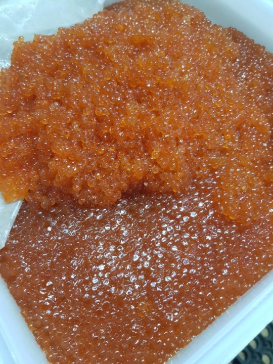 Где Можно Купить Икру Речной Рыбы