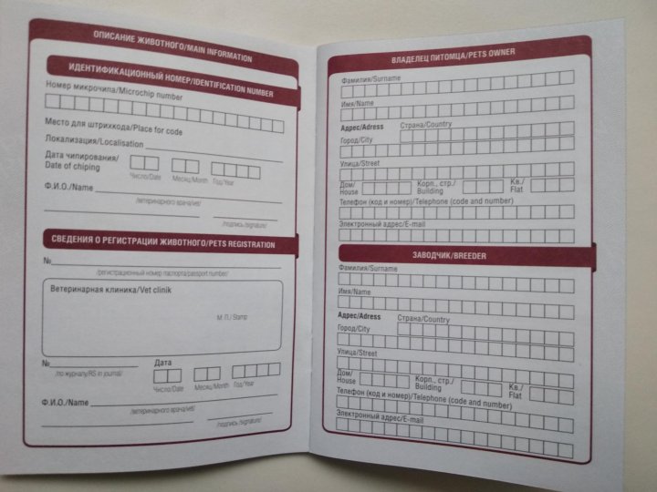 Ветпаспорт международного образца