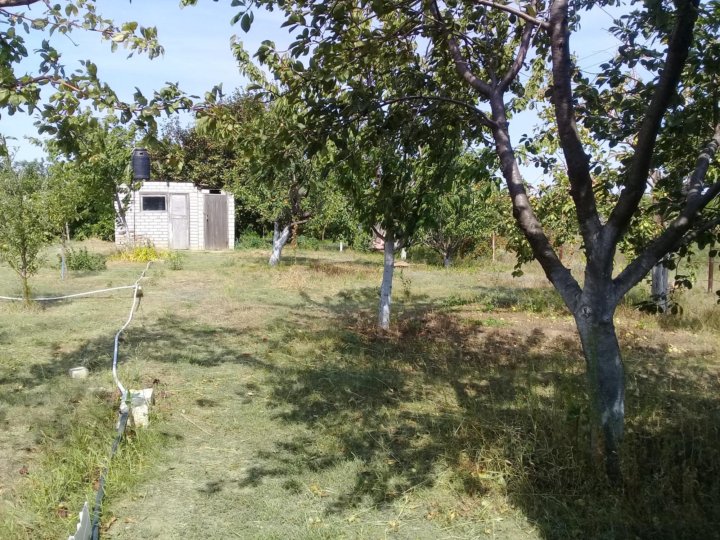 Волгоградская область село пичуга карта
