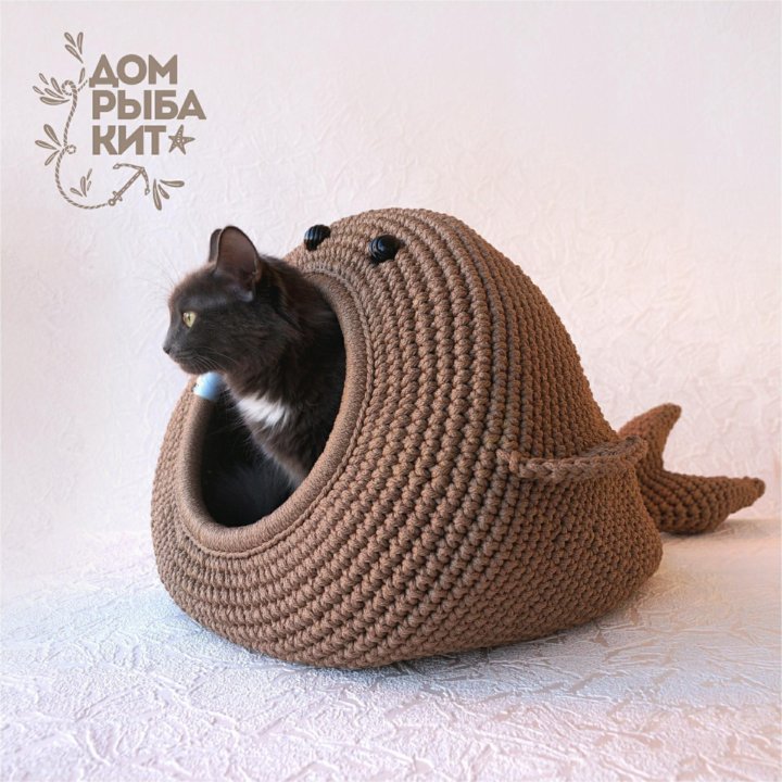 Котодом дзен — ImgHub.ru