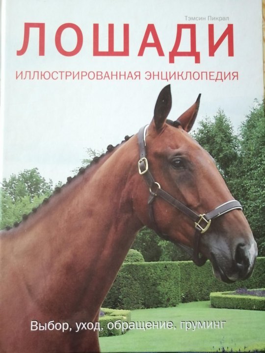 Лошади иллюстрированная энциклопедия. Книги про лошадей. Книга лошади. Иллюстрированная энциклопедия. Лошади навсегда. Иллюстрированная энциклопедия.