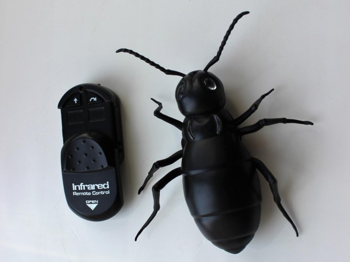 Ants 12. Муравей на радиоуправлении 14421. Ant-12. Трансформер муравей игрушка. Ant Toy.