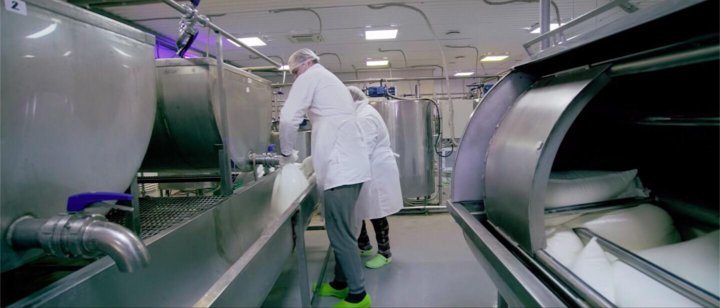 молочный завод санкт петербург. молочный комбинат воронежский. вердовский молочный завод сырки. зао гдовский молочный завод. молочный завод санкт петербург.