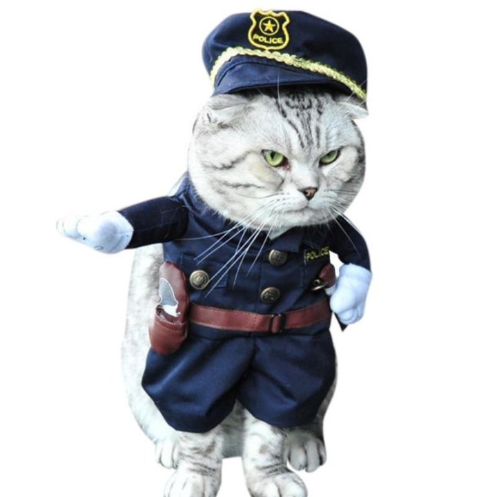 Полицейский кот