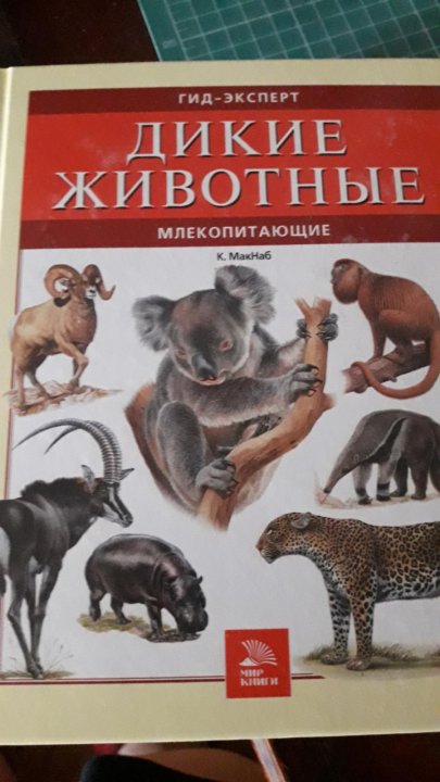 Сборник новых книг о животных – купить в Москве, цена 450 руб., дата ...