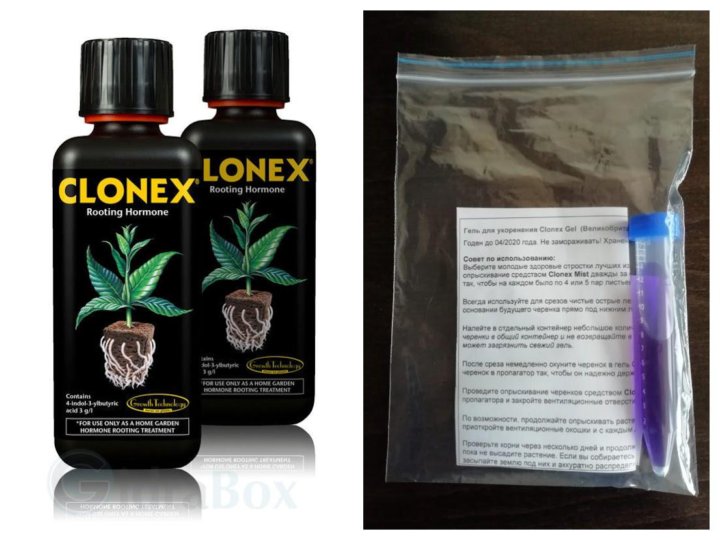 Купить гель для укоренения. Клонекс гель. Clonex гель для укоренения. Доступные препараты для укоренения. Для чего используется препарат Клонекс.