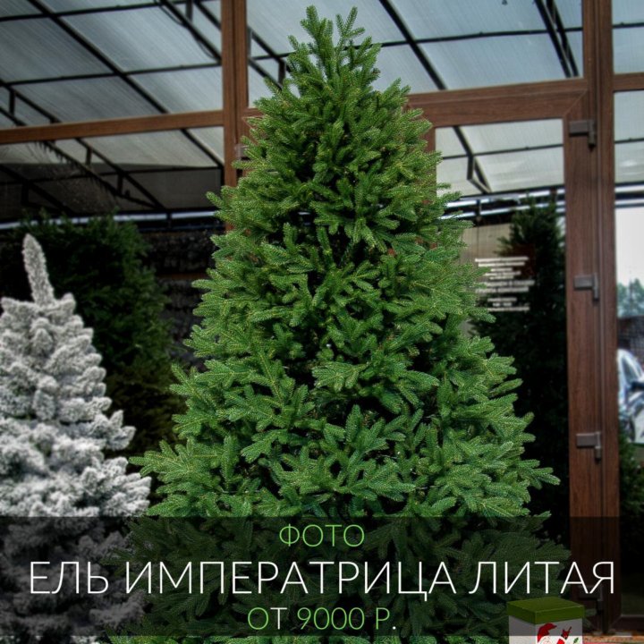 Елка искусственная императрица. Ель императрица 2 метра. купить елки императрицу литую в россии от производителя.