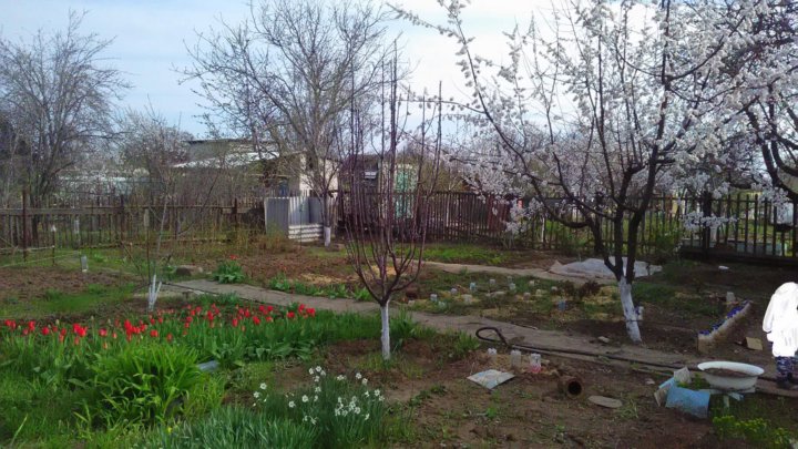 Дары придонья волжский снт. Снт взморье волжский. Снт взморье волжский пляж. Дубовая 55 снт опытник 1. Набережная 9.