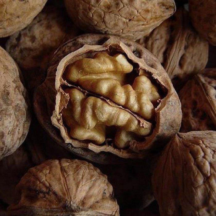 Орех грецкий скороплодный левина (с5). Какие сорта грецкого. Грецкий орех яглыджевюс. Вьетнамский грецкий орех в сиропе. Грецкий орех коржеченко.