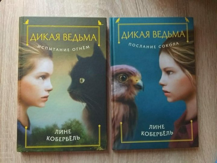 Дикий читать полностью. Дикая ведьма. Дикая ведьма испытание огнем. Серия книг Дикая ведьма. Книга Дикая ведьма послание Сокола.