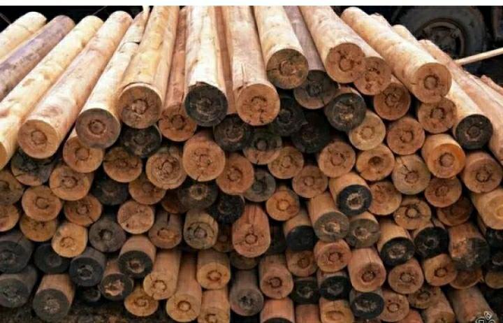 карандаши от фанерного производства. газель 5 кубов дров. дрова карандаши. дрова березовые с доставкой тюмень. березовые дрова.