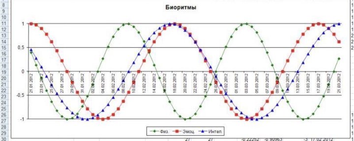 Расчет биоритмов человека по дате рождения онлайн