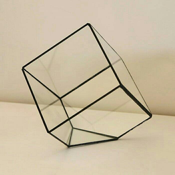 Куб с цветами внутри. Glass Cube. Полупрозрачные матовые Кубы с растениями. Большой куб из стекла с растениями. Стеклянный куб с цветами и бабочками.
