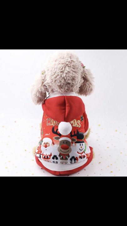 Новогодний Костюм Для Собаки
