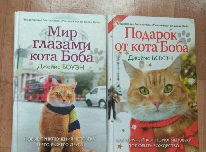 Читать книгу кот боб. Мир глазами кота Боба. Боуэн д. мир глазами кота Боба. Кот Боб книга.