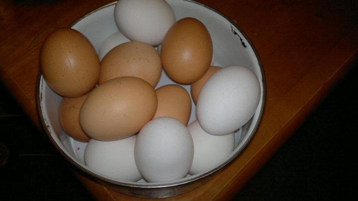 Петергоф домашние яйца от фермера. Яйца Оренбург. Яйцо домашнее куриное купить. Купить домашнее яйцо в городе острове Псковская область.