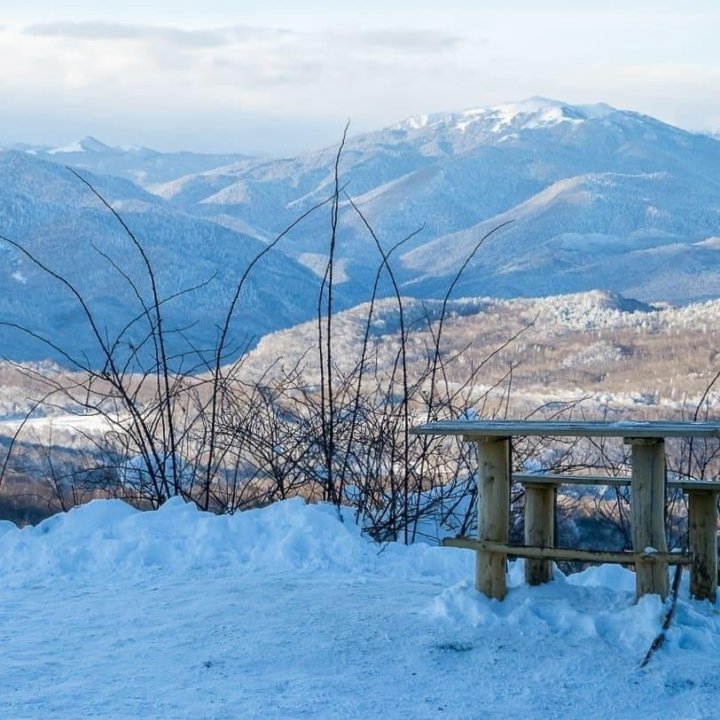 Лагонаки мебель