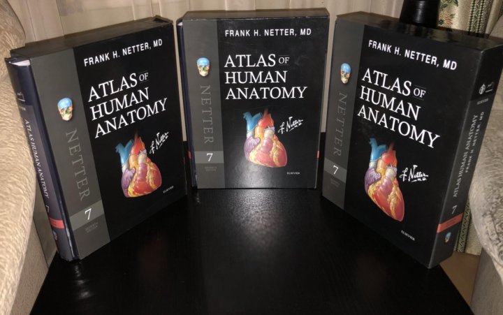 Атлас фрэнк. Атлас Неттера 6 издание. Фрэнк Неттер атлас анатомии. Атлас анатомии Неттера 7 издание. Неттер ф. атлас анатомии человека..