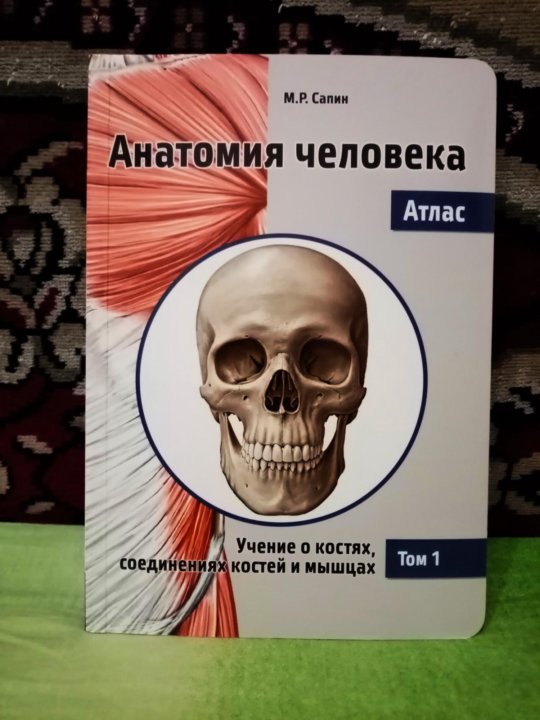 Анатомия в 2 томах. Анатомия атлас Сапин. Сапин атлас анатомии 3 том.