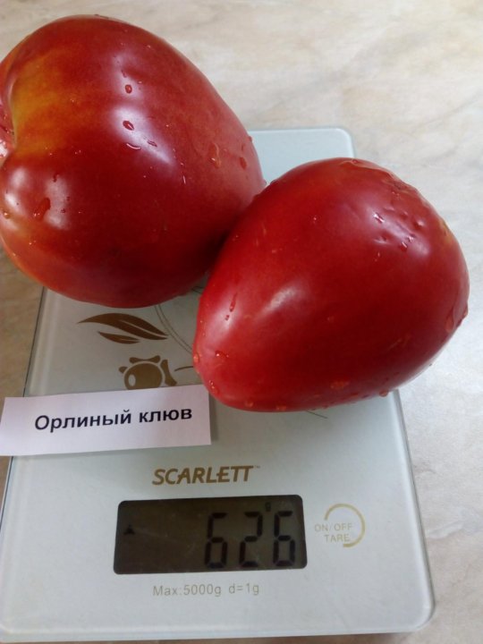 Томат т 34 купить. Семена помидор т-34. Томат т-34 f1. Минусинский перчик томат. Семена томата Макс.