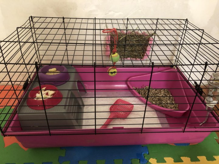 Ferplast 80. обустройство клетки для кролика. что нужно кролику в клетку. домик для кролика декоративного. клетка для морской свинки большая.