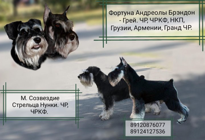 Определение оптимального количества питательных веществ