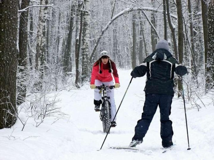 Велосипедист и лыжник. Прогулка на лыжах в лесу. Велосипед на лыжах. Прогулки на лыжах по лесу. Лыжная прогулка в лесу.