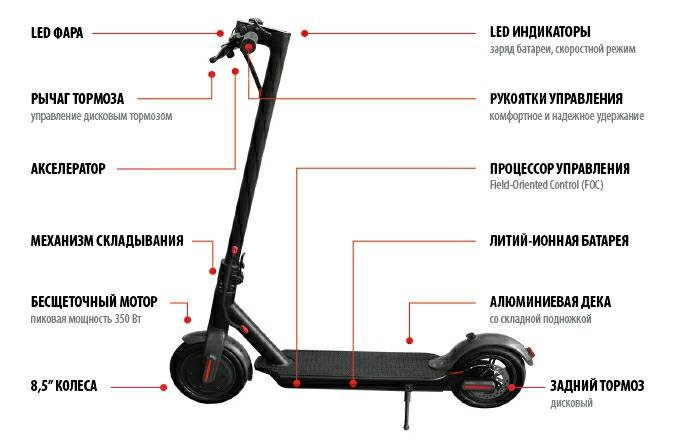 Электросамокат торлин как снять аккумулятор Электросамокат Iconbit Kick Scooter s85 - купить в Новосибирске, цена 9 999 руб.