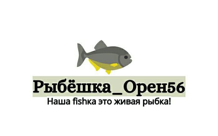 Рыба предложение. Живая рыба на Комсомольской в Оренбурге. Орен56. Живая рыба купить в Оренбурге адреса и телефоны. Живая рыба купить в Оренбурге на Комсомольской 202.