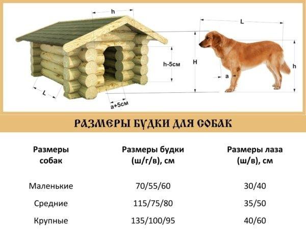 Проект будки для собаки для средней собаки с размерами