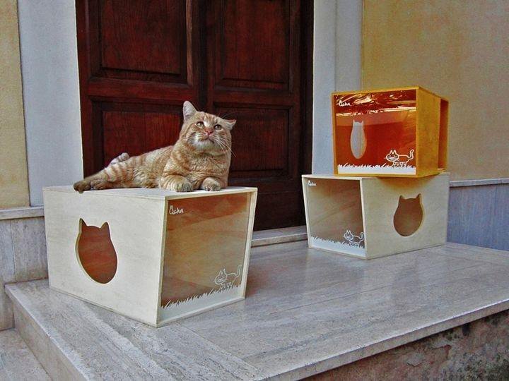 Домик для кошки своими руками из фанеры фото