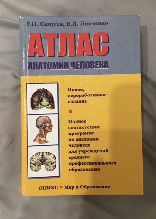 Самусев атлас анатомии. Атлас анатомии человека Самусев Липченко. Атлас анатомии. Самусев 17 издание. Книга атлас человека Самусев. Самусев р.п., Липченко в.я. атлас анатомии человека.