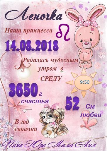 12 Килограмм Счастья Интернет Магазин