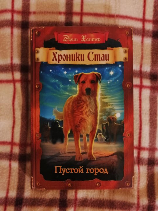 Хроники стаи пустой город. Хроники стаи путь изгнанницы. Хроники стаи солнышко. Книги хранитель Пенхэллоу.