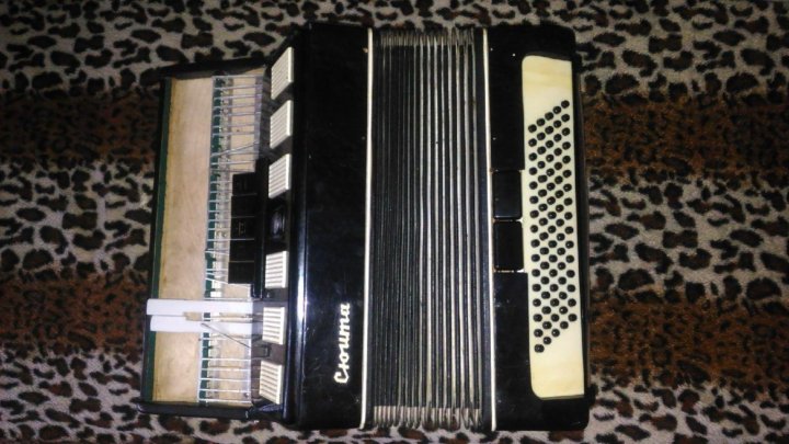 аккордеон сюита