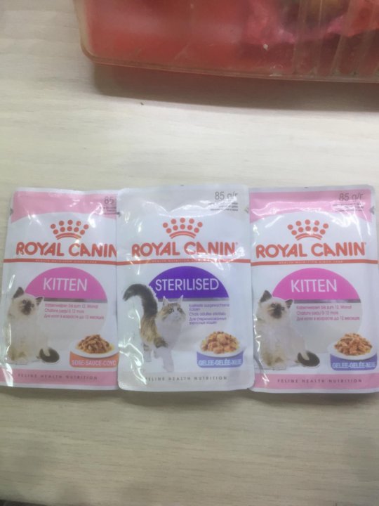 Royal canin для кошек жидкий. Корм роял канин для британских кошек. 4 кг. Роял канин для кошек авито. Роял канин для кошек авито.